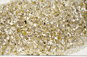 Plane Polarized, S78150/A