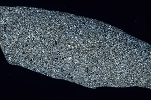 Cross Polarized, S78151