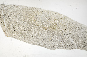 Plane Polarized, S78151