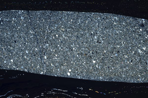 Cross Polarized, S78152