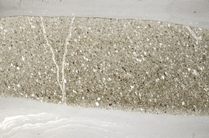 Plane Polarized, S78152