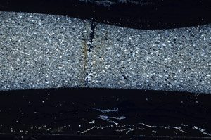 Cross Polarized, S78155