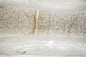 Plane Polarized, S78155