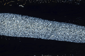 Cross Polarized, S78156