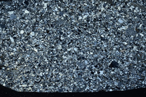 Cross Polarized, S78159