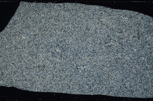 Cross Polarized, S78163