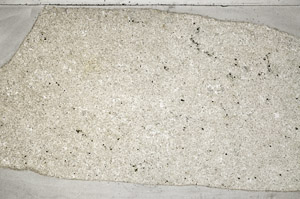 Plane Polarized, S78163