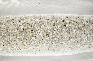 Plane Polarized, S78166