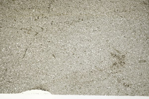 Plane Polarized, S78202