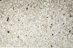 Plane Polarized, S78219