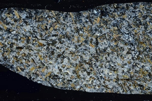 Cross Polarized, S78300