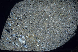 Cross Polarized, S78301