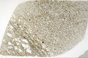 Plane Polarized, S78301