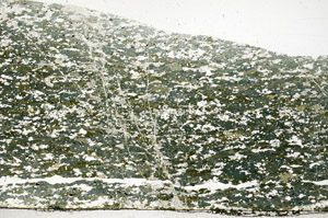 Plane Polarized, S78332