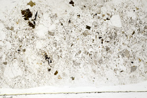 Plane Polarized, S78339