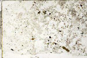 Plane Polarized, S78341