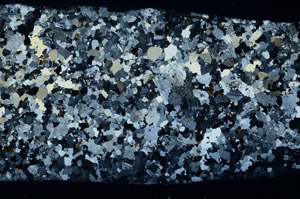 Cross Polarized, S78342