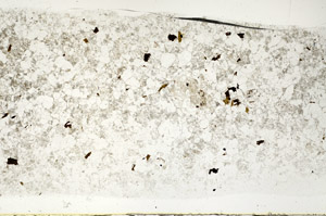 Plane Polarized, S78342