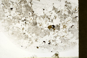 Plane Polarized, S78343