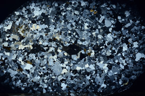 Cross Polarized, S78352