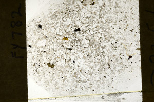 Plane Polarized, S78354