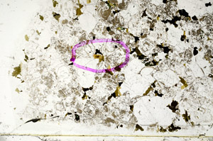 Plane Polarized, S78355