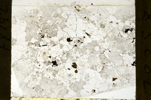 Plane Polarized, S78358