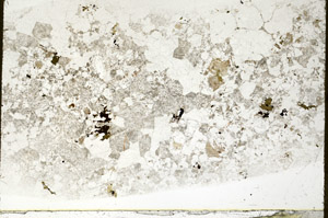 Plane Polarized, S78360