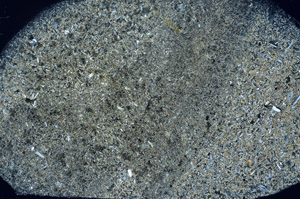 Cross Polarized, S78386