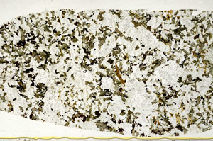 Plane Polarized, S78419