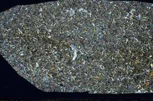 Cross Polarized, S78422