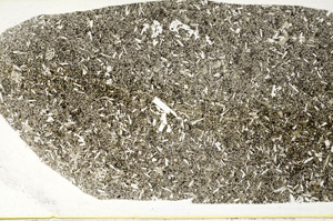 Plane Polarized, S78422