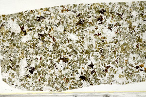 Plane Polarized, S78429