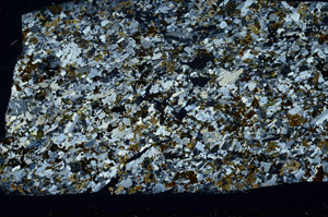 Cross Polarized, S78430