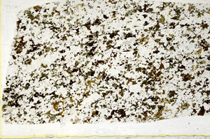 Plane Polarized, S78430