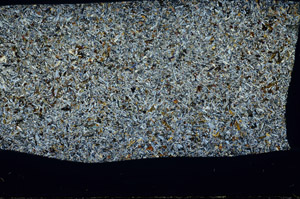 Cross Polarized, S78431