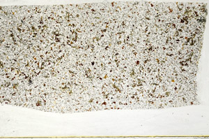 Plane Polarized, S78431