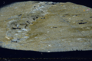 Cross Polarized, S78435