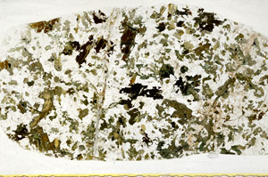 Plane Polarized, S78439