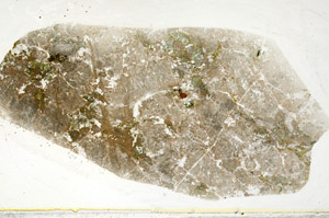 Plane Polarized, S78442