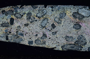 Cross Polarized, S78445