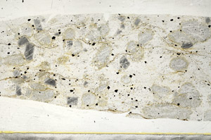 Plane Polarized, S78445