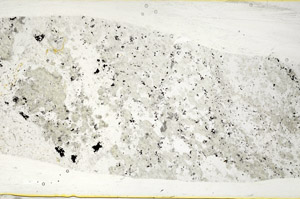 Plane Polarized, S78447