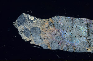 Cross Polarized, S78449