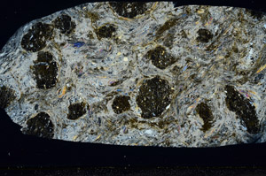 Cross Polarized, S78467