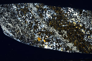 Cross Polarized, S78468