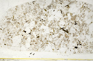 Plane Polarized, S78469