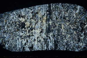 Cross Polarized, S78472