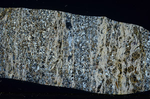 Cross Polarized, S78473