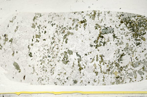 Plane Polarized, S78475